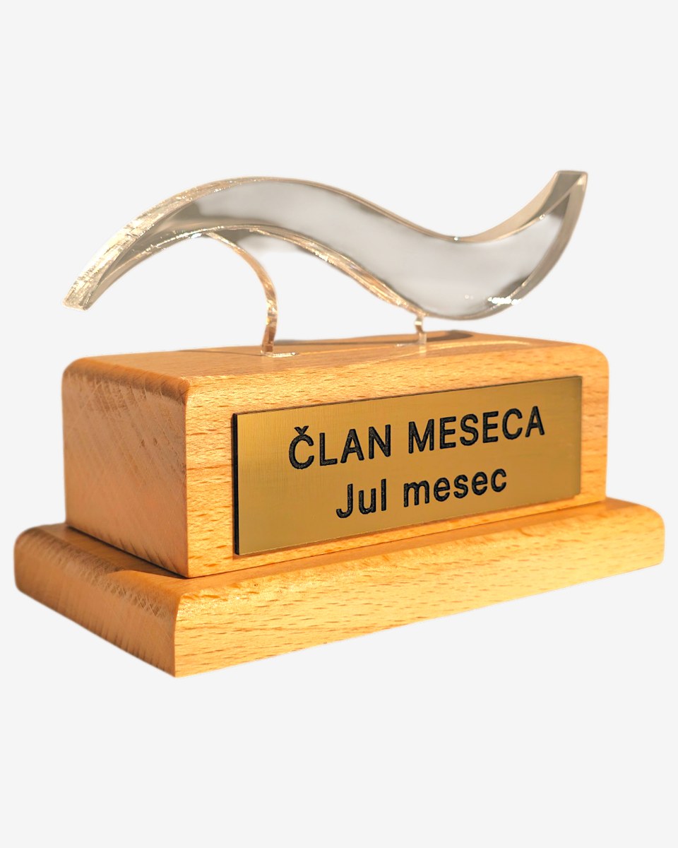 Priznanje Talas Akademija za člana meseca, transparentni pleksiglas element u obliku talasa